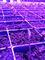 Pflanzenwachstum 1W SMD 3030 740nm 745nm LED wächst hellen Chip